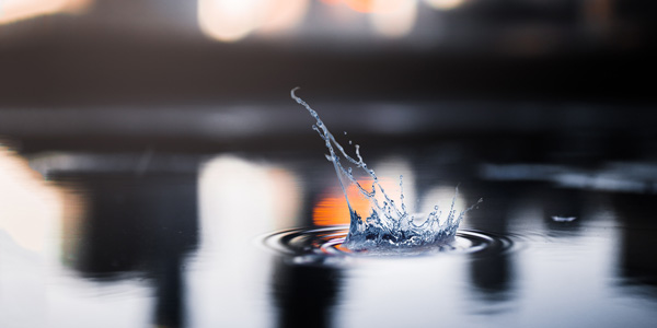 英语四级 英语四级